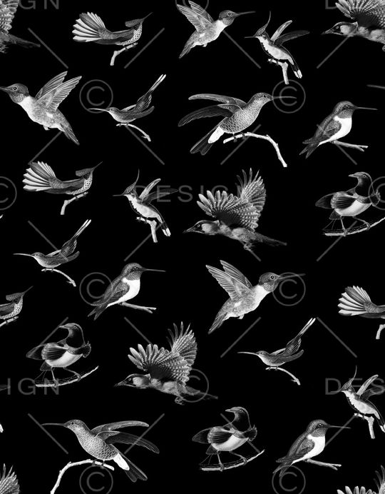 黑白印花华亿平台图片