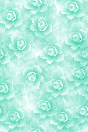 荷花印花华亿平台图片