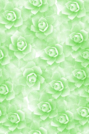 荷花印花华亿平台图片