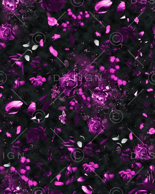 玫瑰印花华亿平台图片