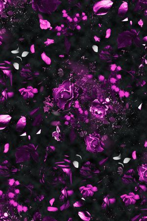 玫瑰印花华亿平台图片