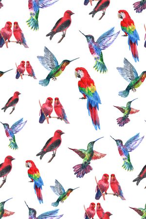 西瓜印花华亿平台图片