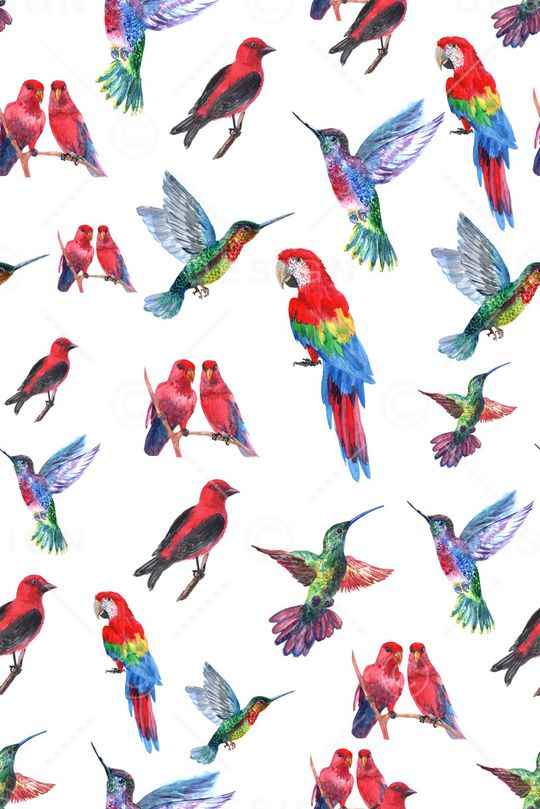 西瓜印花华亿平台图片