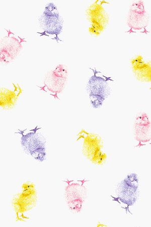 小鸡印花华亿平台图片