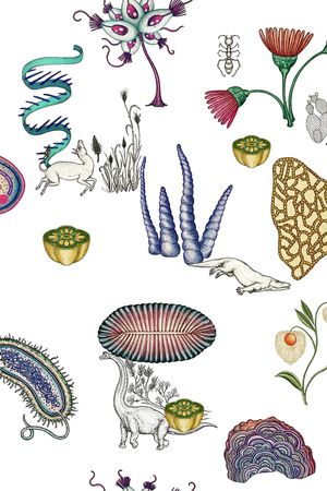 热带丛林印花华亿平台图片