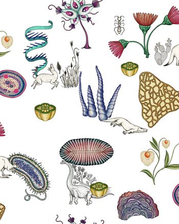 热带丛林印花华亿平台图片