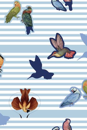 鸟印花华亿平台图片