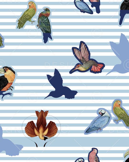 鸟印花华亿平台图片