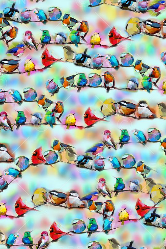 五彩小鸟印花华亿平台图片