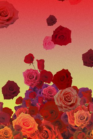 玫瑰印花华亿平台图片