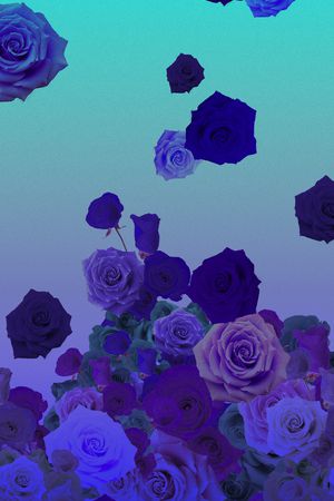 玫瑰印花华亿平台图片