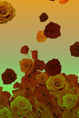 玫瑰印花华亿平台图片