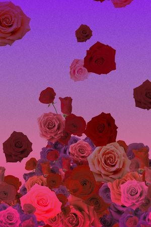 玫瑰印花华亿平台图片