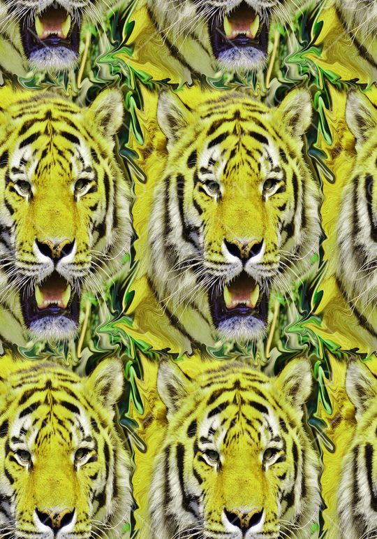 头像动物纹印花华亿平台图片