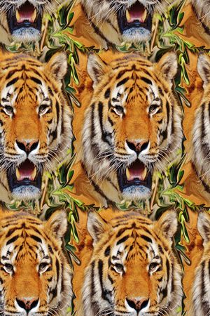 头像动物纹印花华亿平台图片