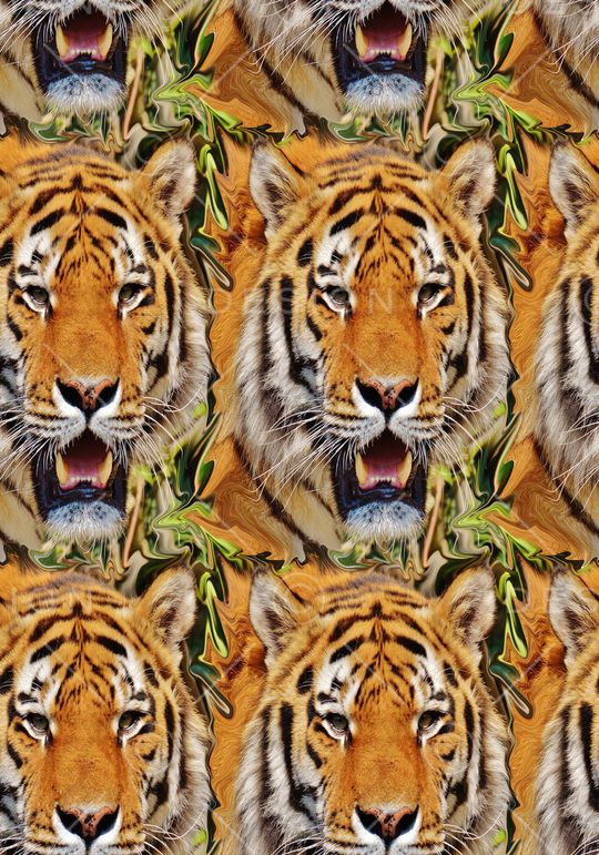 头像动物纹印花华亿平台图片