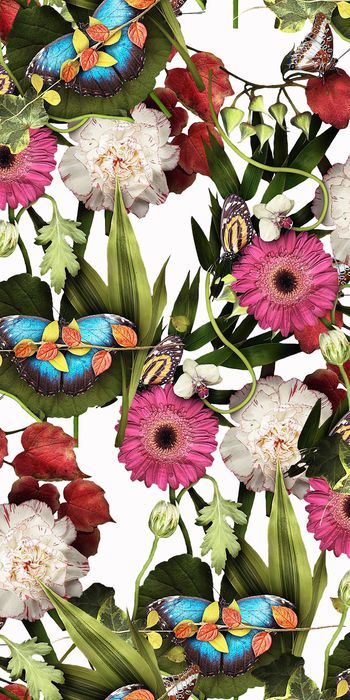 749484-20161127-60S-1