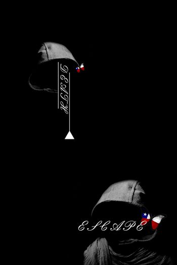 黑白印花华亿平台图片