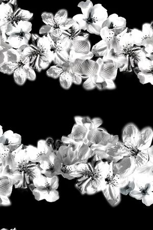 郁金香印花华亿平台图片