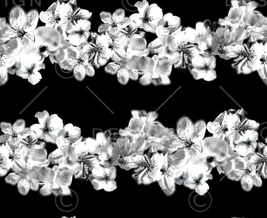 郁金香印花华亿平台图片