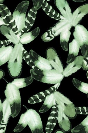 羽毛印花华亿平台图片