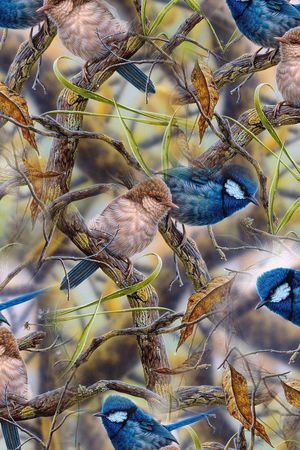 花鸟印花华亿平台图片