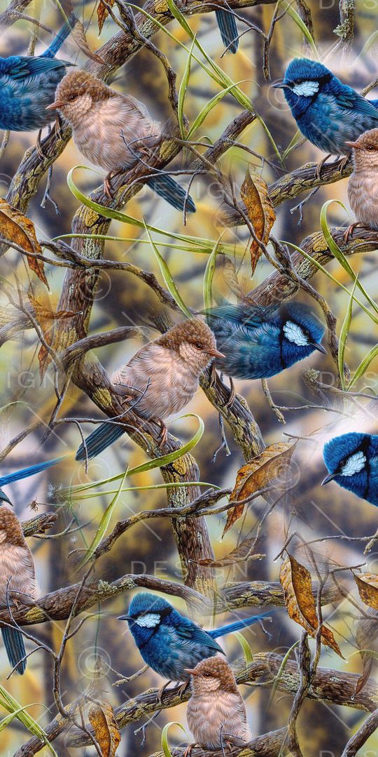 花鸟印花华亿平台图片