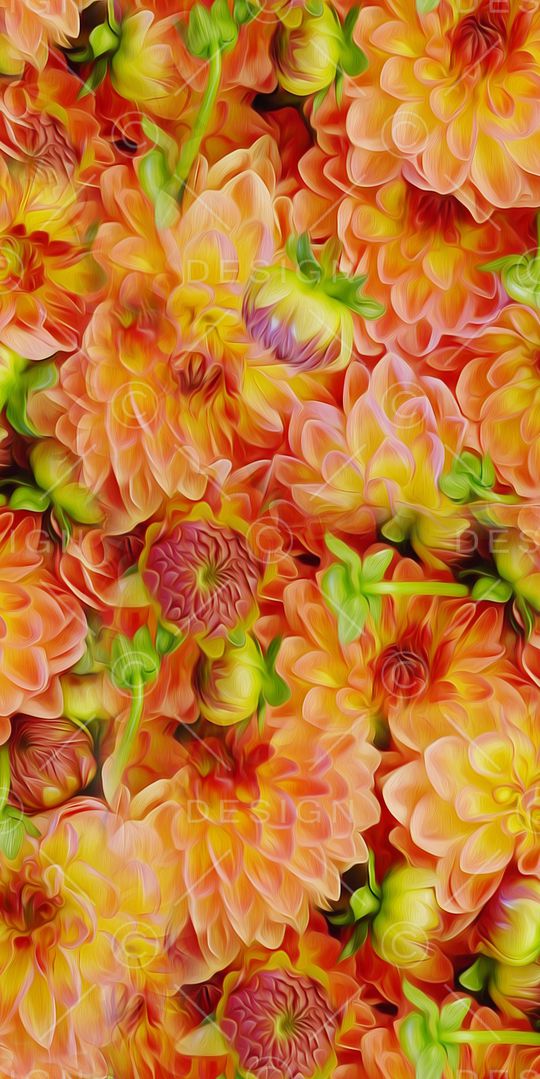 数码花卉类印花华亿平台图片