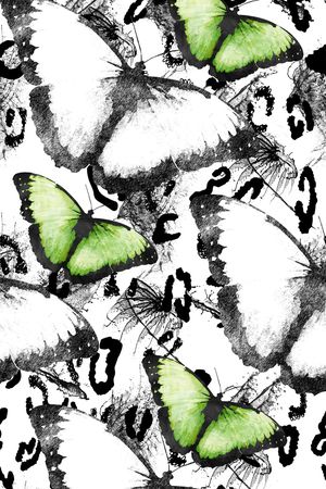 女装印花华亿平台图片