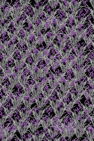 小碎花印花华亿平台图片