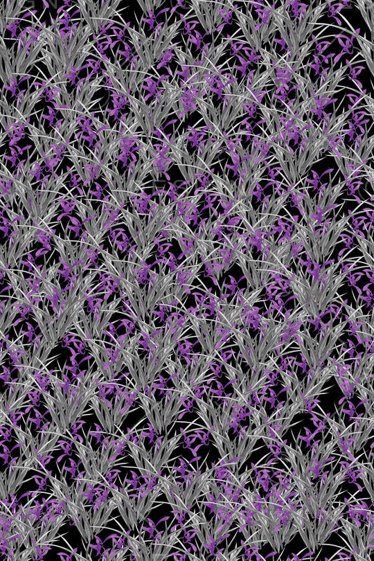 小碎花印花华亿平台图片