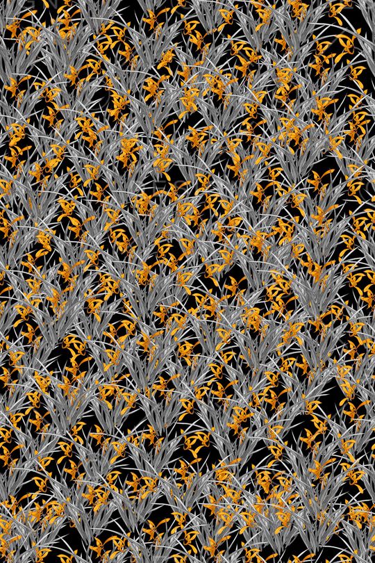 小碎花印花华亿平台图片