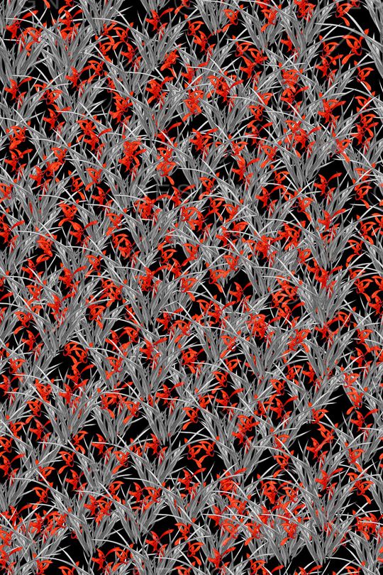 小碎花印花华亿平台图片