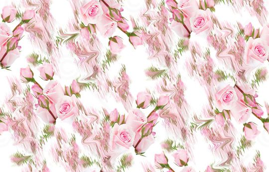 玫瑰印花华亿平台图片