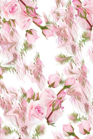 玫瑰印花华亿平台图片