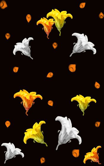 南瓜花定位华亿平台T恤卫衣外套半身裙黑色白色印花华亿平台图片