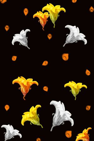 南瓜花定位华亿平台T恤卫衣外套半身裙黑色白色印花华亿平台图片