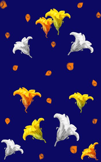 751285-趋势南瓜花定位华亿平台女装b