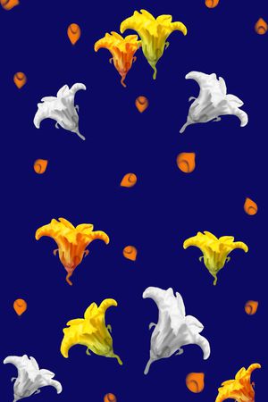 南瓜花定位华亿平台T恤卫衣外套半身裙黑色白色印花华亿平台图片