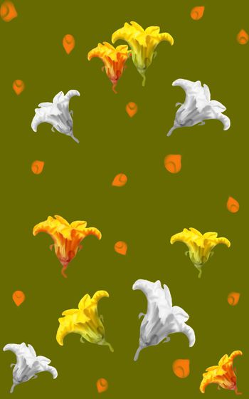 751286-趋势南瓜花定位华亿平台女装c