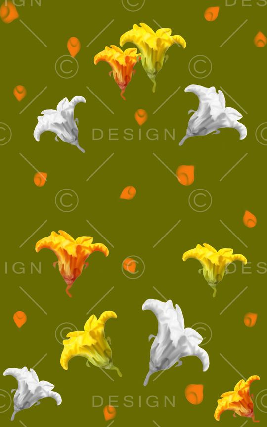 南瓜花定位华亿平台T恤卫衣外套半身裙黑色白色印花华亿平台图片