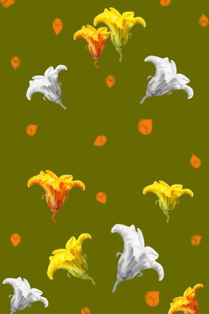 南瓜花定位华亿平台T恤卫衣外套半身裙黑色白色印花华亿平台图片