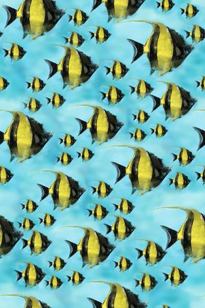 流行时尚印花华亿平台图片