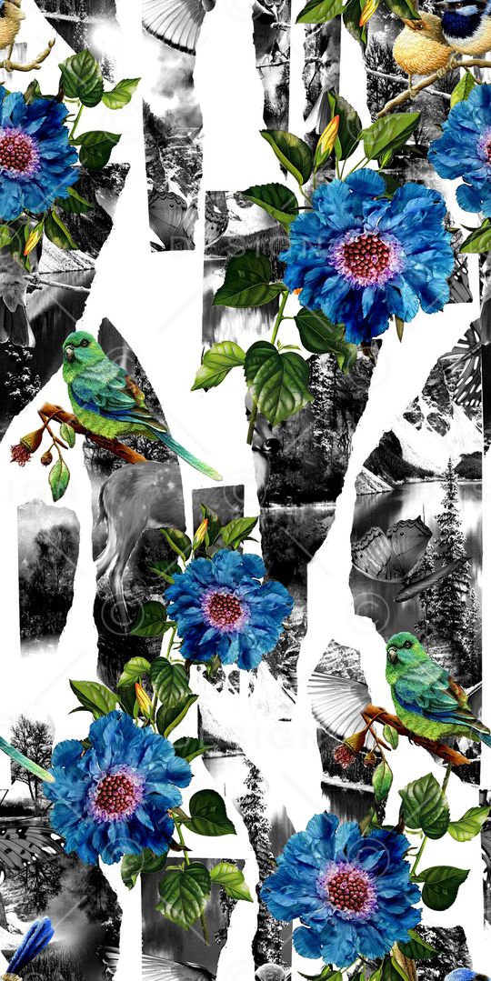 花鸟印花华亿平台图片