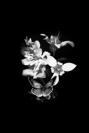 黑白花卉印花华亿平台图片