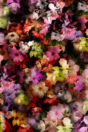 蒲公英印花华亿平台图片