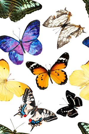 女装印花华亿平台图片