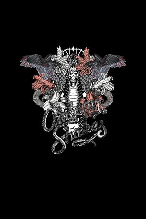 蛇印花华亿平台图片