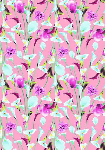 752166-马蹄莲     粉色