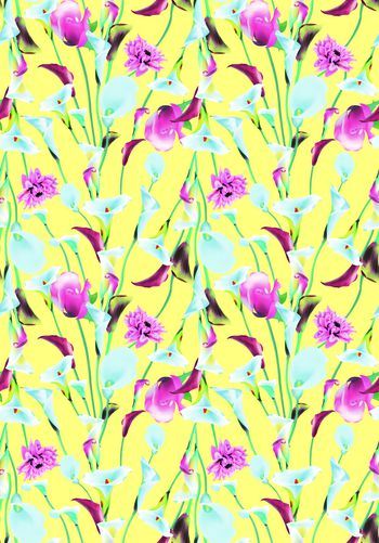 752167-马蹄莲     黄色